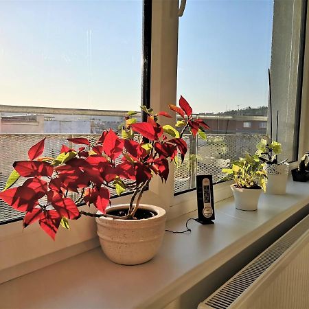 New Apartment With Garage Parking ブルノ エクステリア 写真