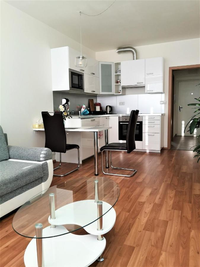 New Apartment With Garage Parking ブルノ エクステリア 写真