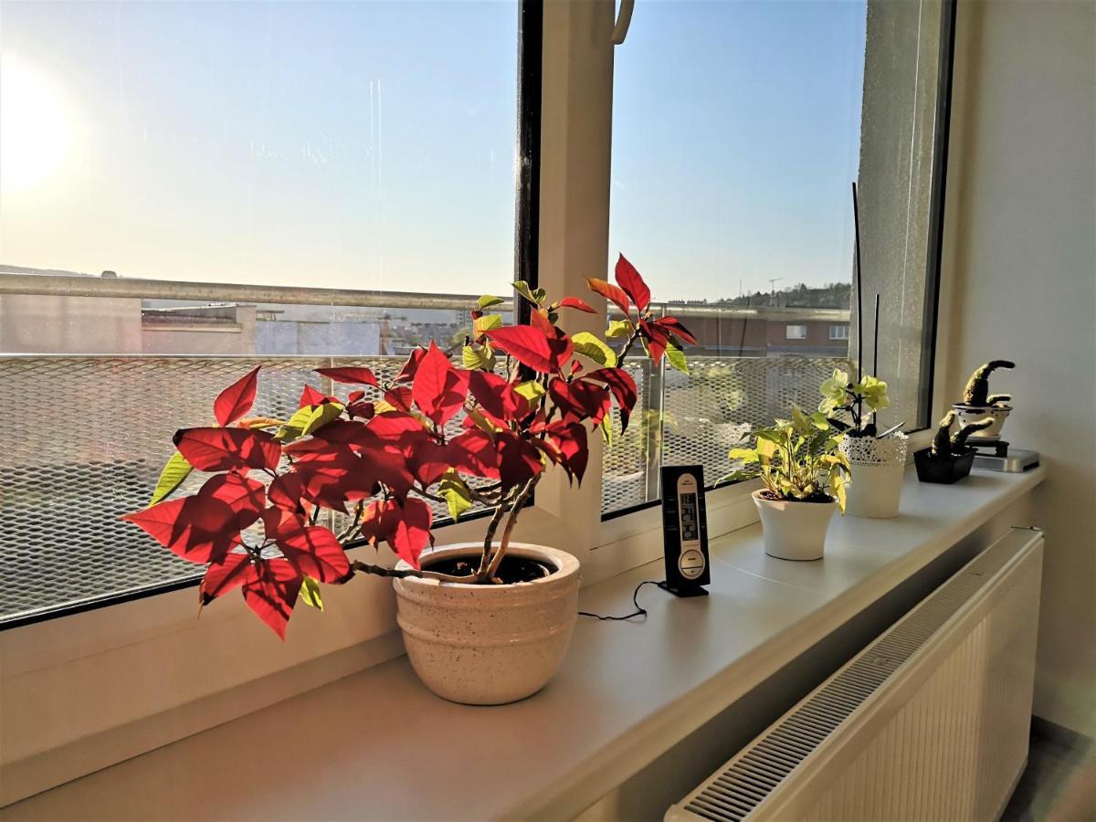 New Apartment With Garage Parking ブルノ エクステリア 写真