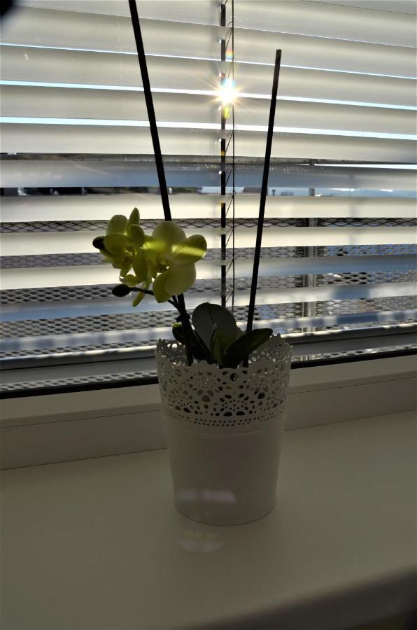 New Apartment With Garage Parking ブルノ エクステリア 写真