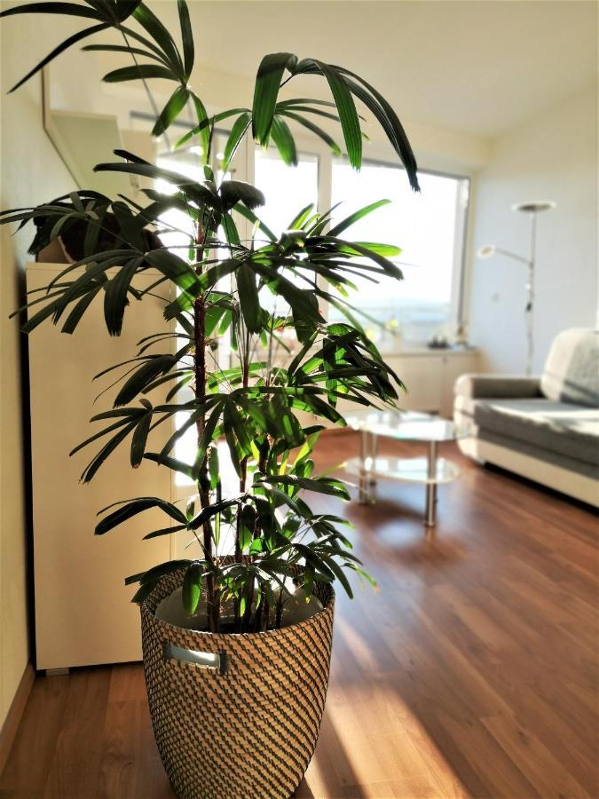 New Apartment With Garage Parking ブルノ エクステリア 写真